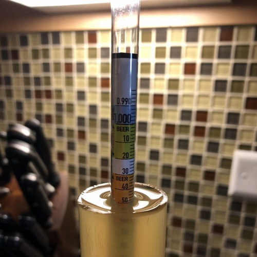 a hydrometer sample of the fast lager