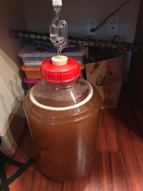 carboy full of juice and yeast
