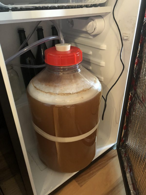 beer 1 in the fermentation fridge
