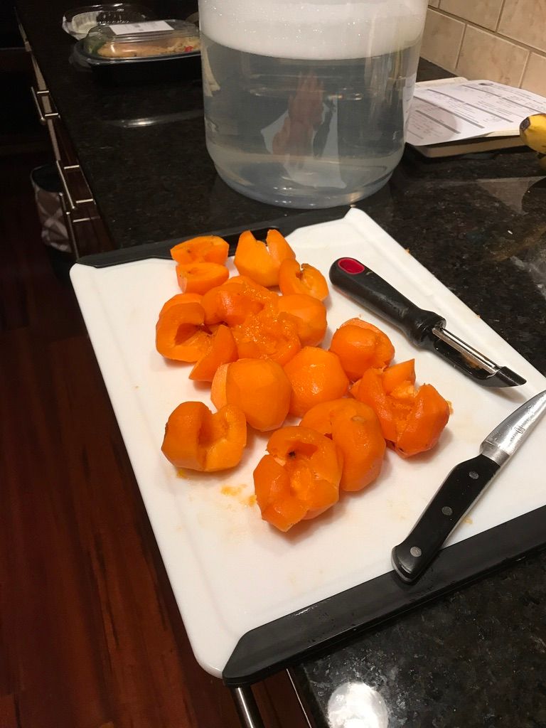 apricots for beer