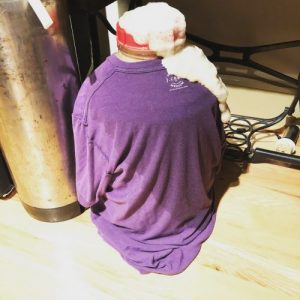 Fermenting hefeweizen