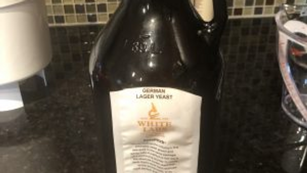 a growler and yeast packet for making a starter