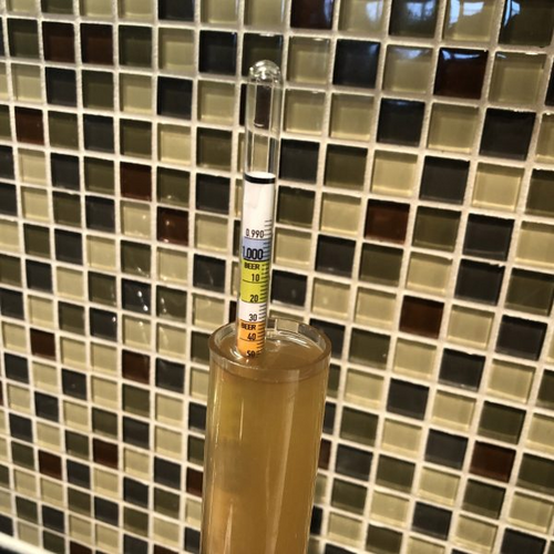 a hydrometer sample of the traditional lager