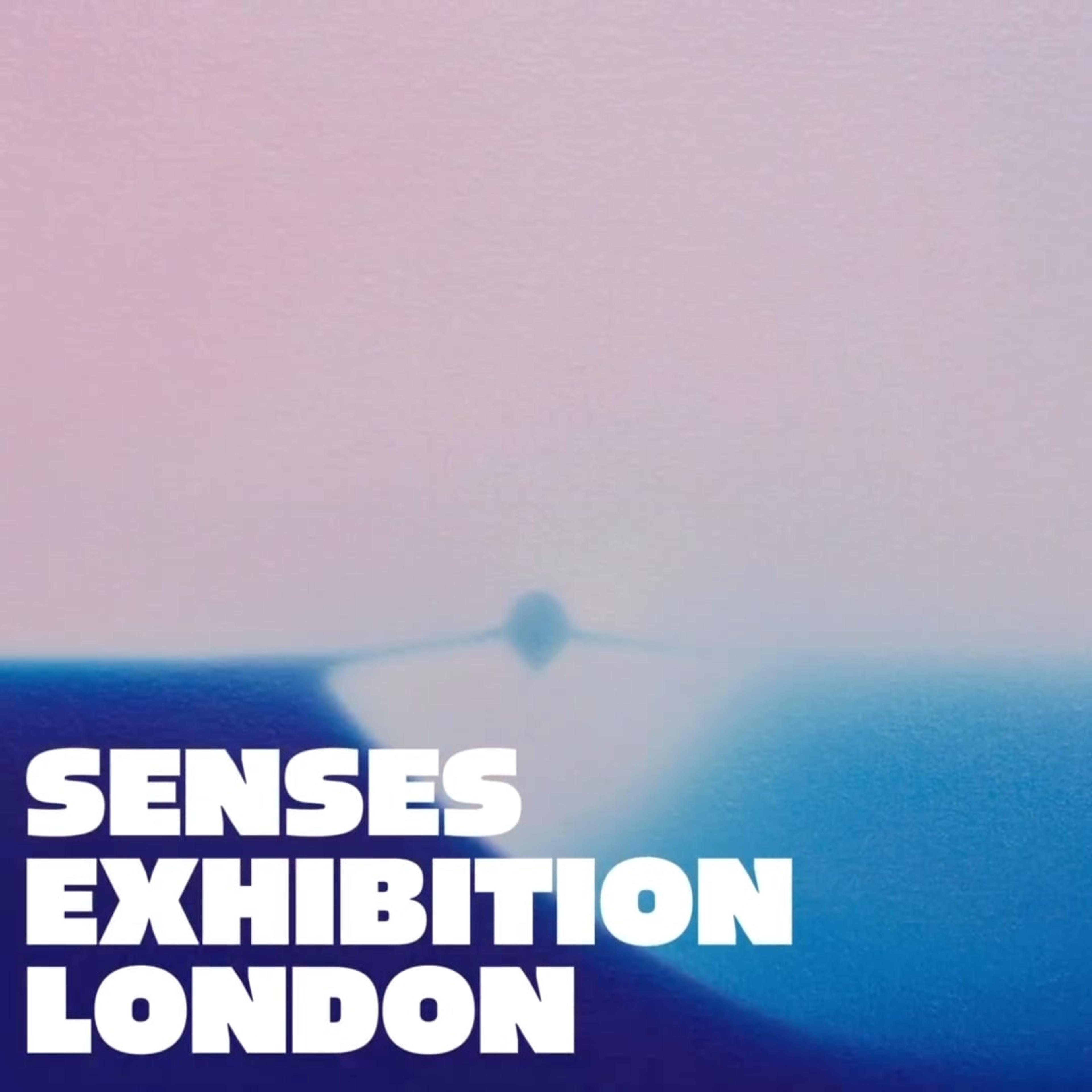 Senses Exhibition London