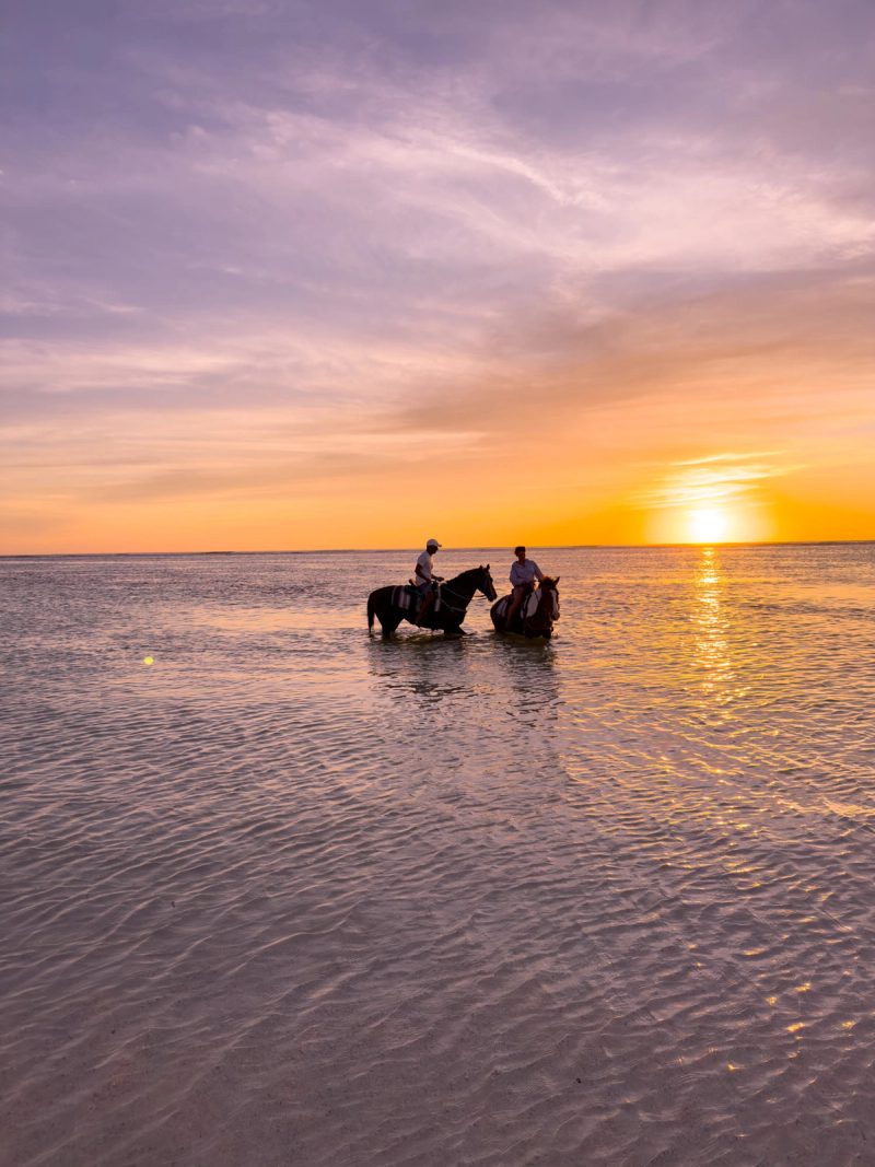 Horseback in the shallows, Anegada