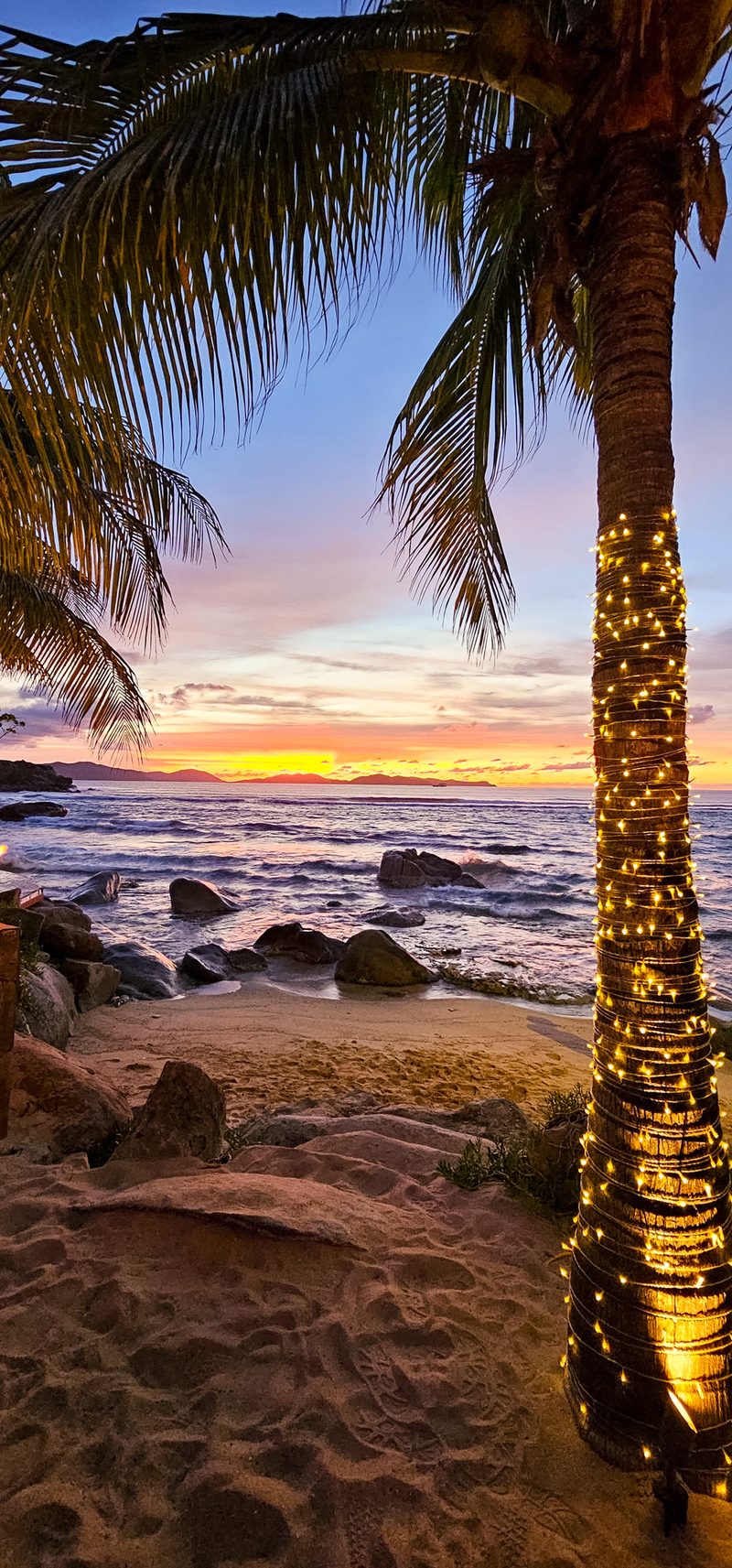 Palm-light beach