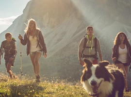 Un groupe de jeunes adultes se promènent dans un champ avec un chien. 