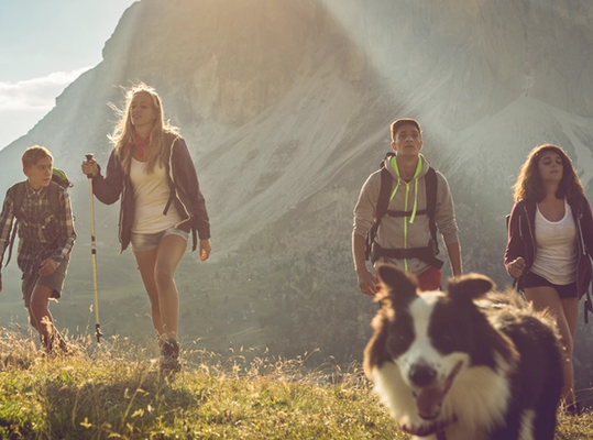 Group of young people walking in a field with a dog. 