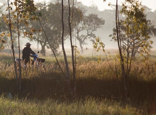 Man cycling through a field in the early morning light. 