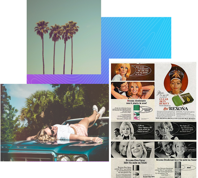 A selection of vintage photos including some palm trees and a woman lying on a car bonnet