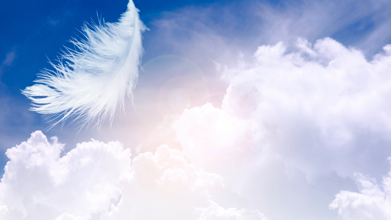 Discover Your Guardian Angel