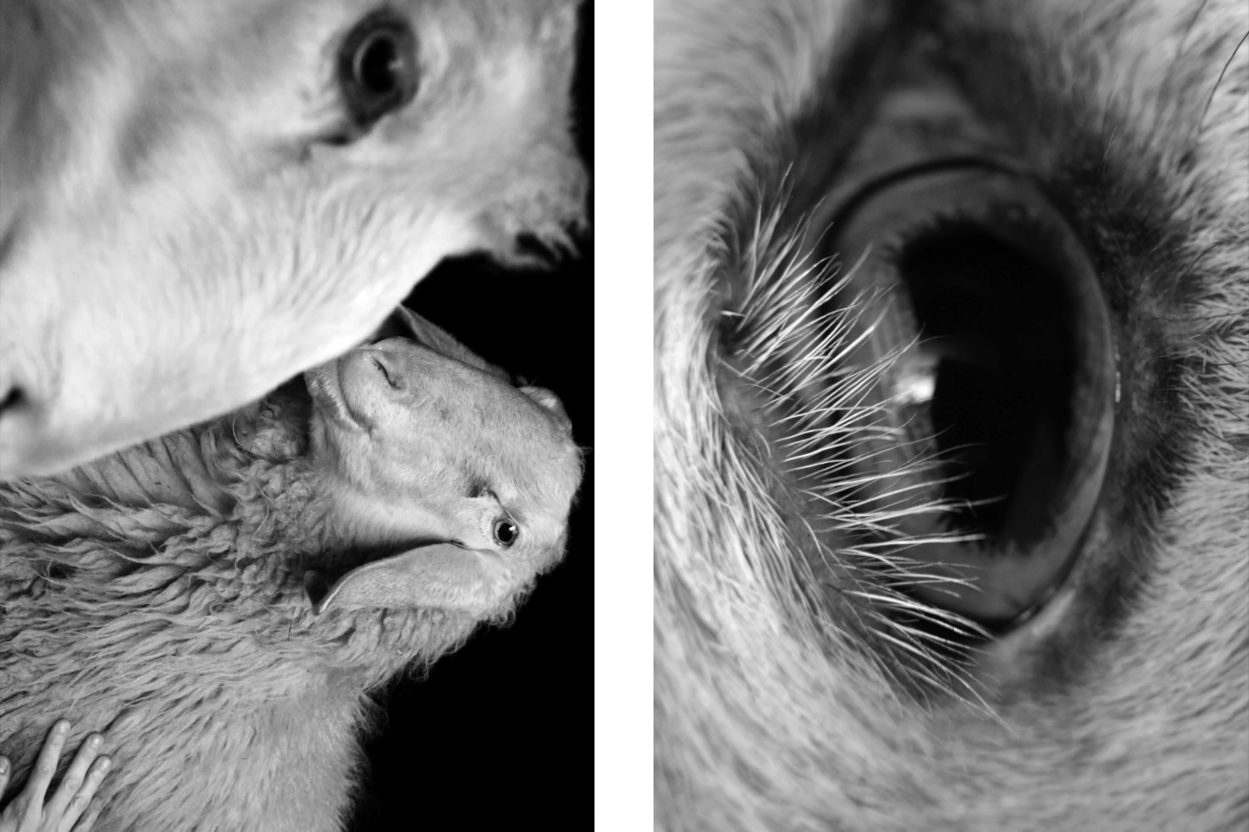 Partners magazine #03