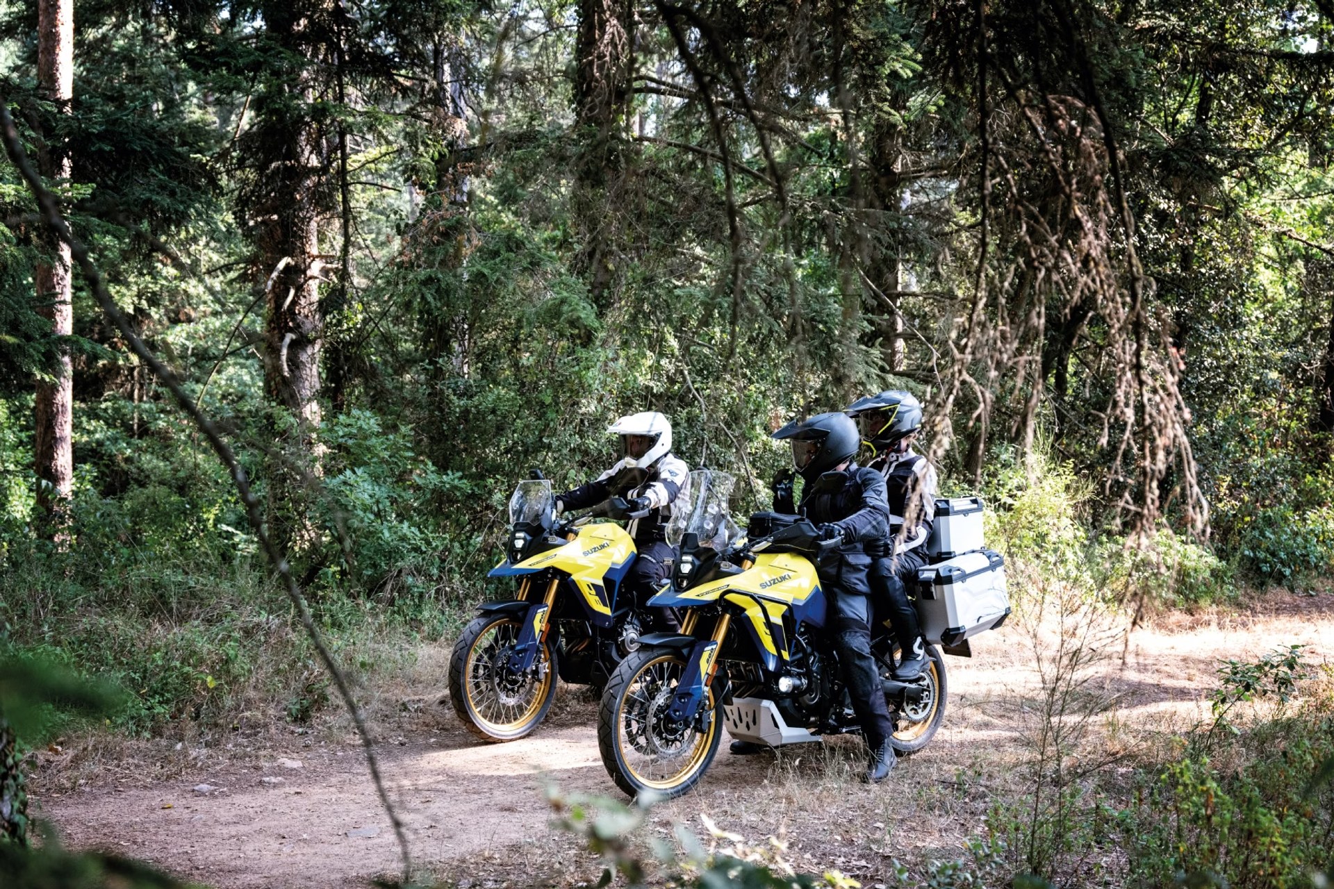 Motociclistas en Suzuki V-Strom 800DE amarillas recorriendo un camino de bosque