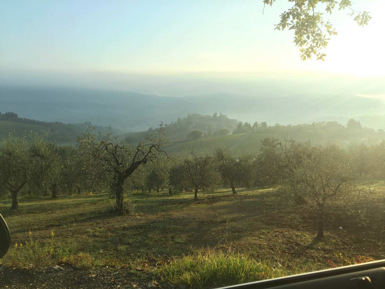 Rolling Chianti hills covered in vineyards bathed in golden afternoon light