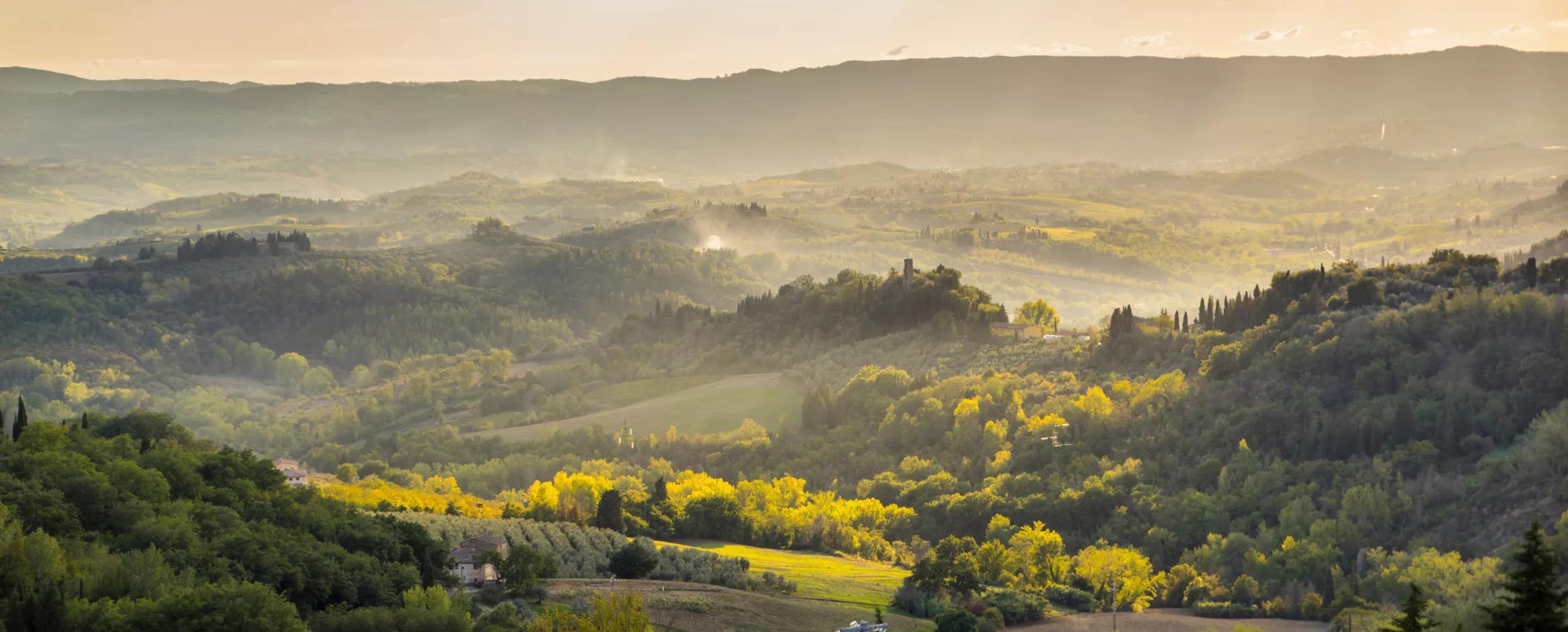 Wooded hills, olive groves and cypresses around Barberino Tavarnelle, with mist in the valleys