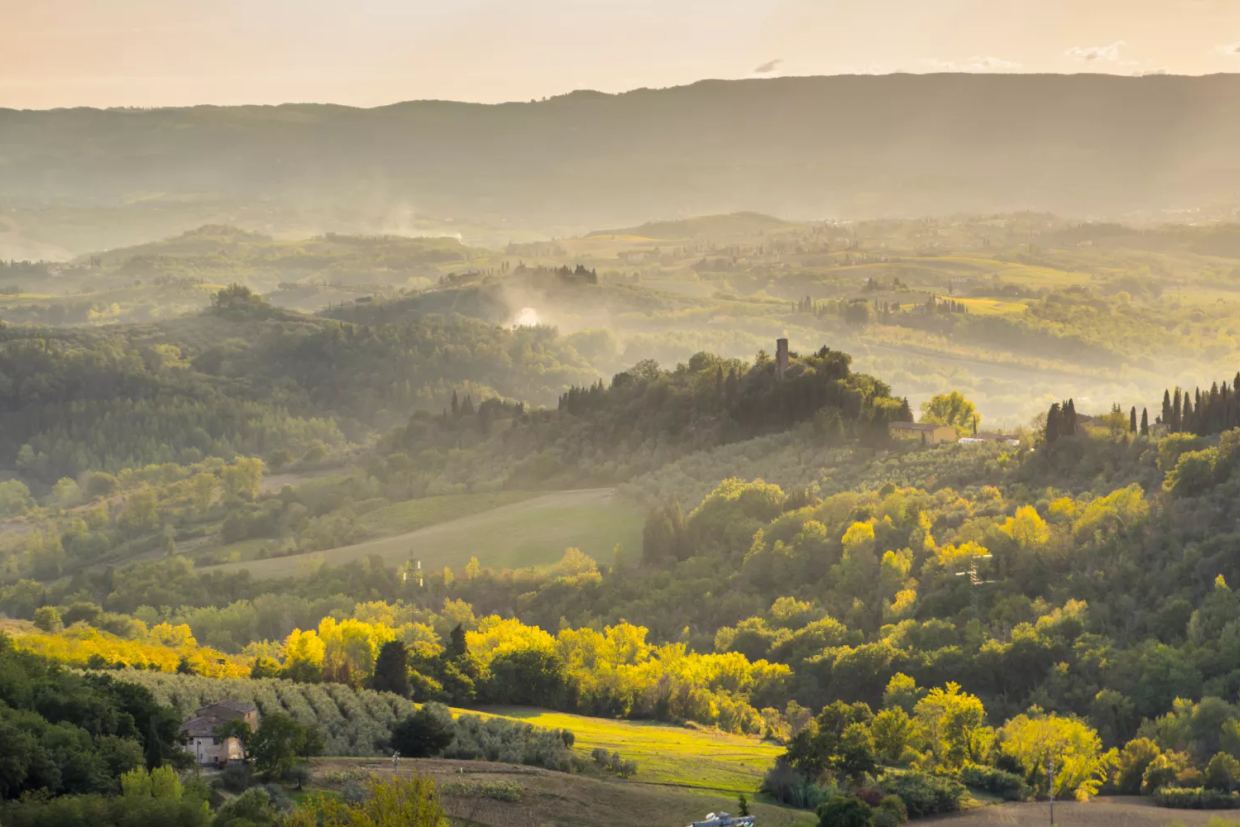 Wooded hills, olive groves and cypresses around Barberino Tavarnelle, with mist in the valleys