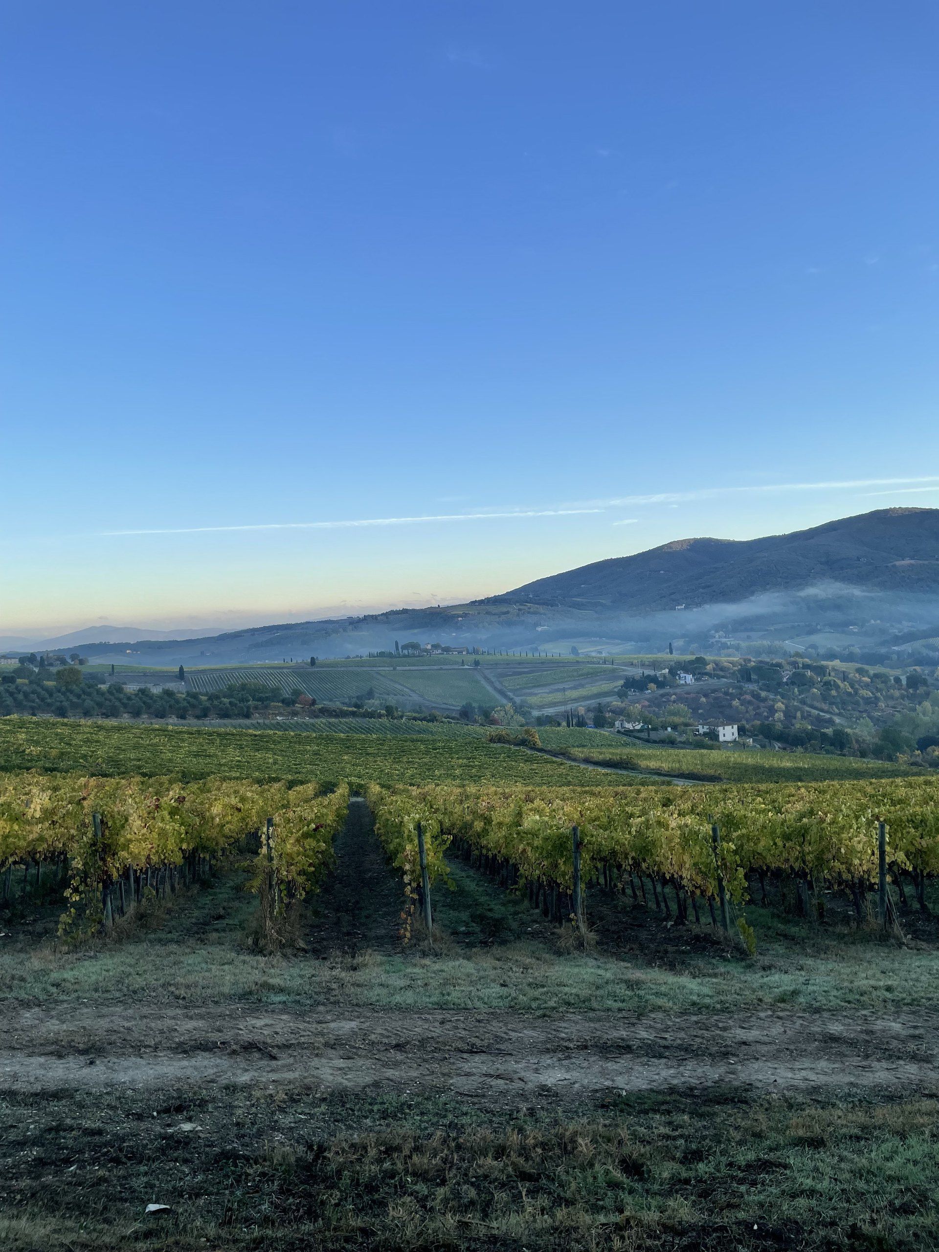 A winding road through Chianti vineyards in autumn
