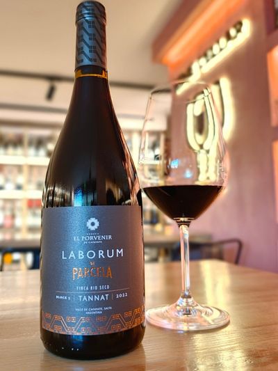 El Porvenir - Laborum de Parcela - Tannat