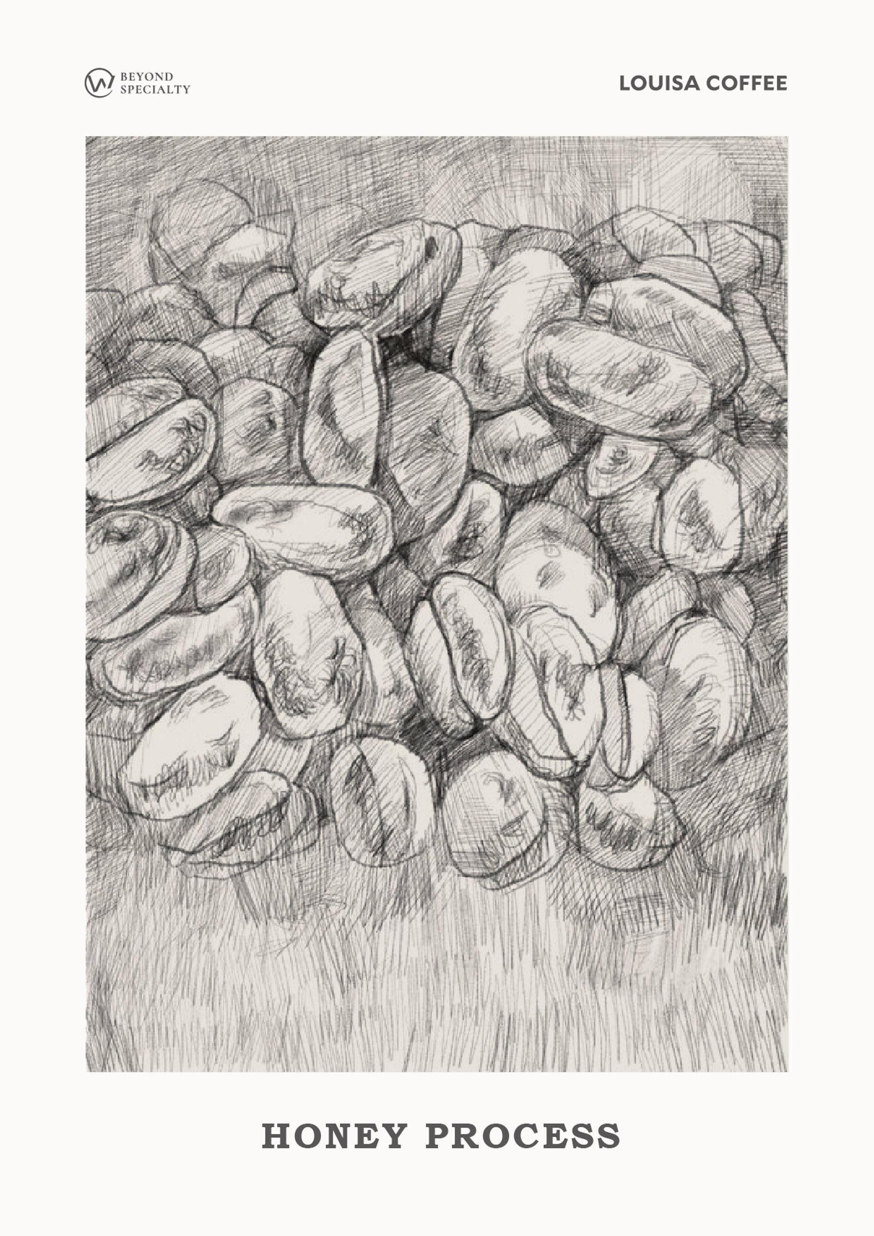 路易莎咖啡蜜處理法掛畫，以鉛筆描繪緊密排列的咖啡豆。