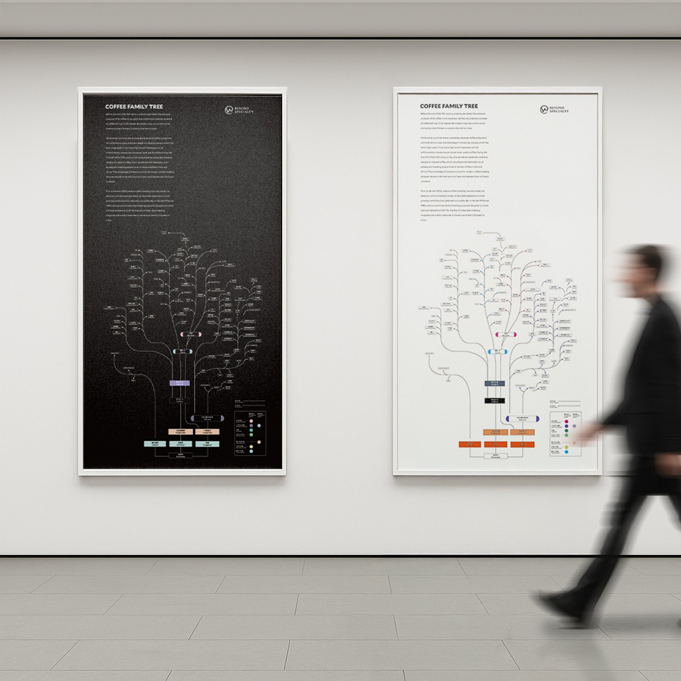 咖啡族譜掛畫設計：室內牆面展示情境
Coffee Family Tree Poster Design: interior wall display mockup