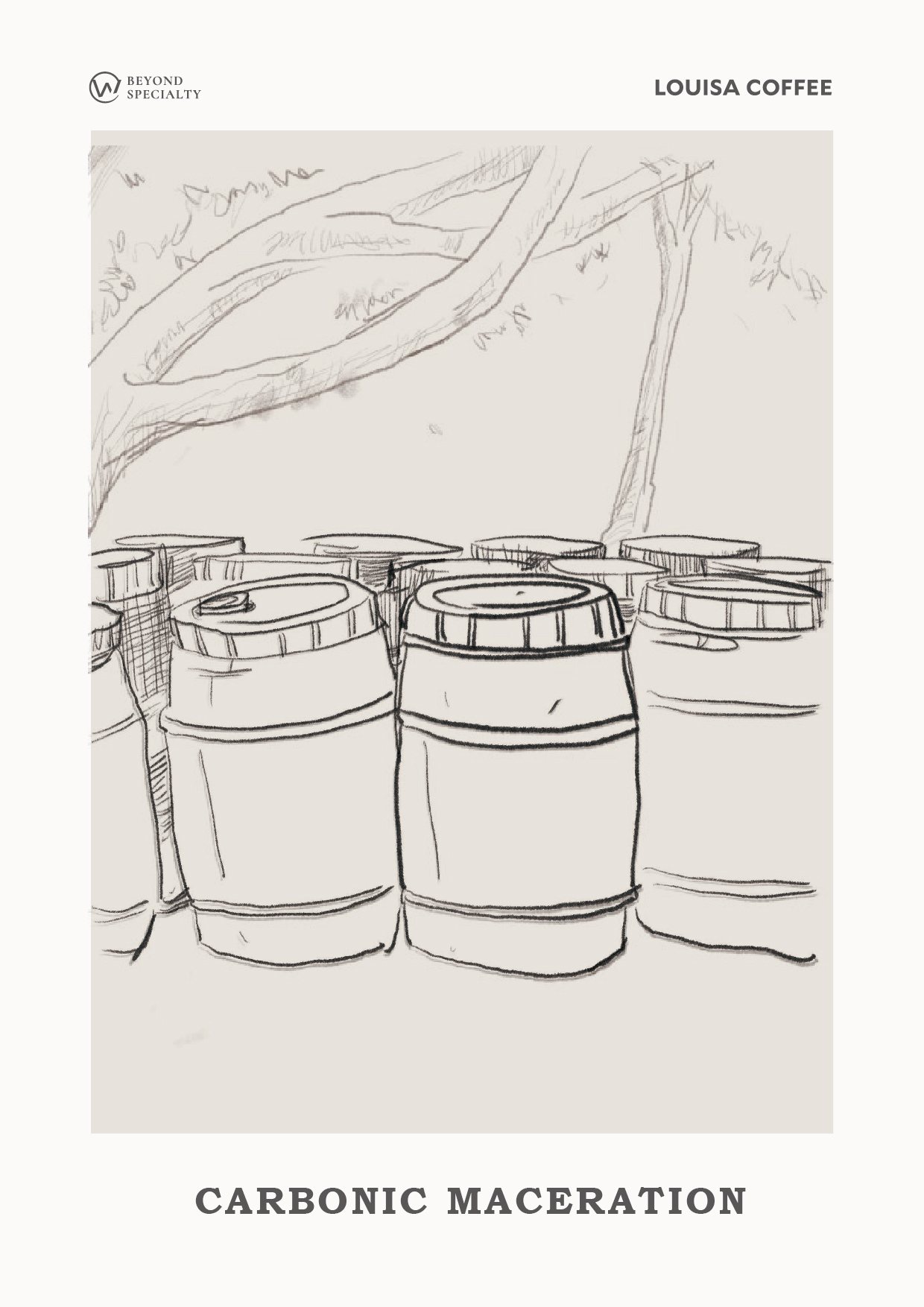 路易莎咖啡二氧化碳浸漬處理法掛畫,鉛筆描繪樹下的發酵桶。