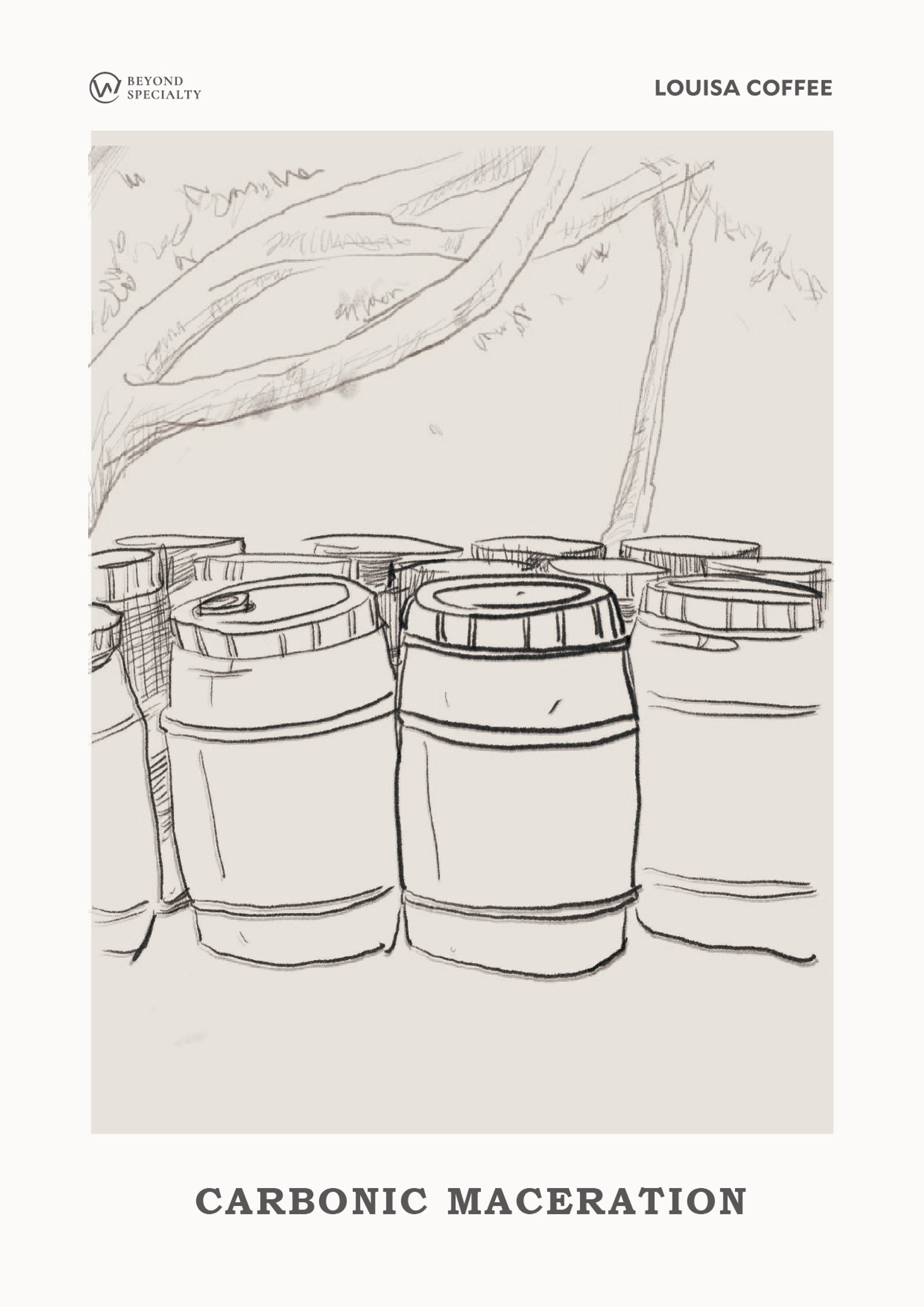 路易莎咖啡二氧化碳浸漬處理法掛畫，鉛筆描繪樹下的發酵桶。