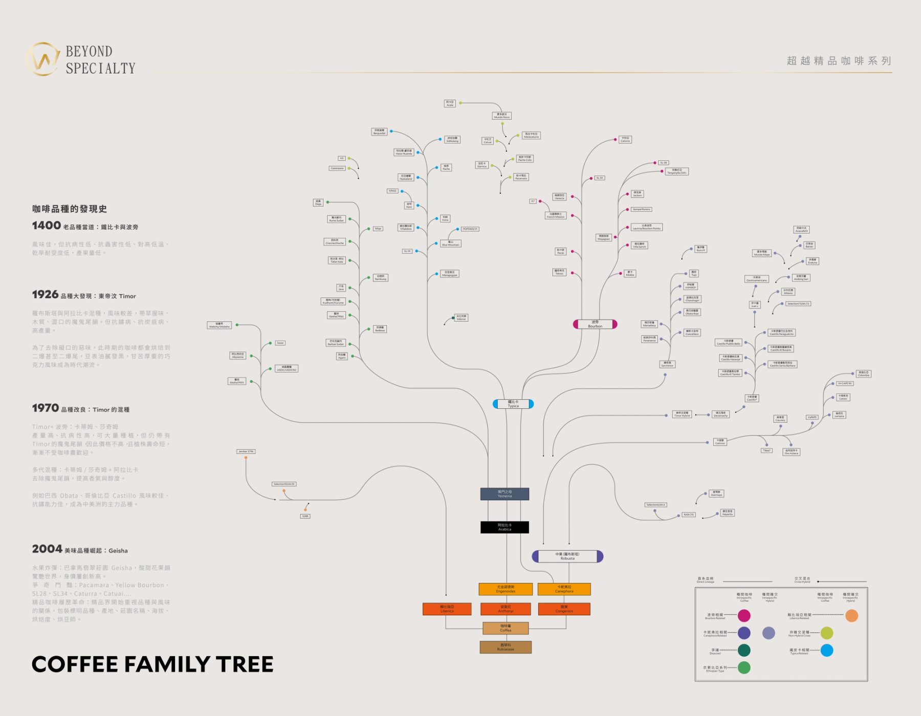 咖啡族譜橫式完整圖表：品種分支、分類與資訊層級
Coffee family tree horizontal chart: varieties, branches, and information hierarchy