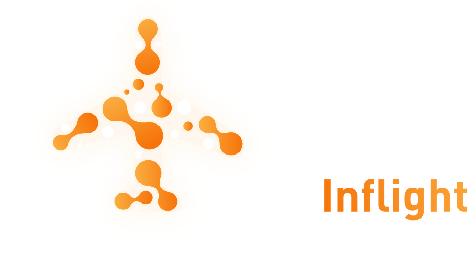 CYBER IN FLIGHT 