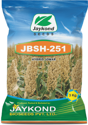 jbsh-251-hybrid-jowar-seeds-jaykond-bioseeds-pvt-ltd