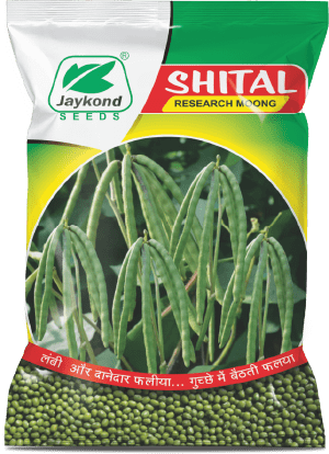 shital-research-moong-seeds-jaykond-bioseeds-pvt-ltd