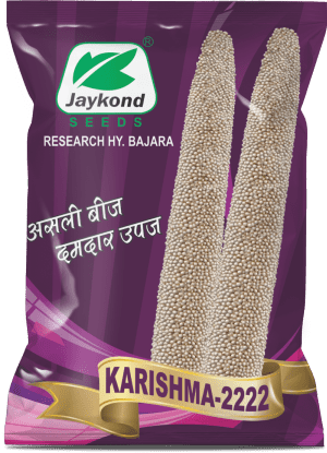 karishma-2222-hybrid-bajara-seeds-jaykond-bioseeds-pvt-ltd