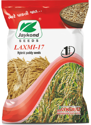 laxmi-17-hybrid-paddy-seeds-jaykond-bioseeds-pvt-ltd