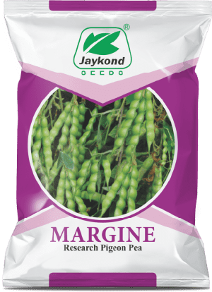 margine-research-pigeon-pea-seeds-jaykond-bioseeds-pvt-ltd