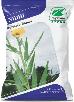 nidhi-op-research-bhindi-seeds-jaykond-bioseeds-pvt-ltd