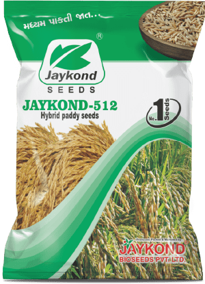 jaykond-512-hybrid-paddy-seeds