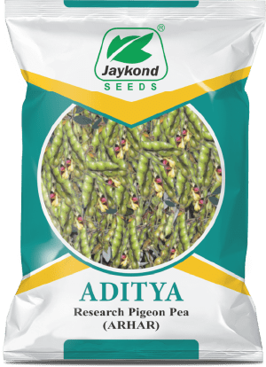 aditya-research-pigeon-pea-seeds-jaykond-bioseeds-pvt-ltd