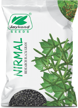 nirmal-research-black-gram-seeds-jaykond-bioseeds-pvt-ltd