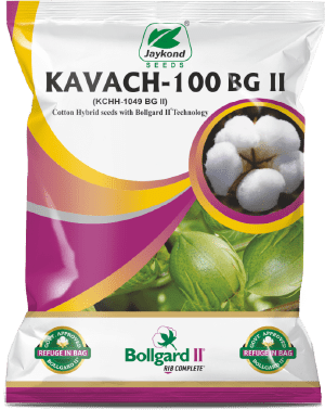 kavach-100-bollgard-bg-ii-hybrid-cotton-seeds-jaykond-bioseeds-pvt-ltd
