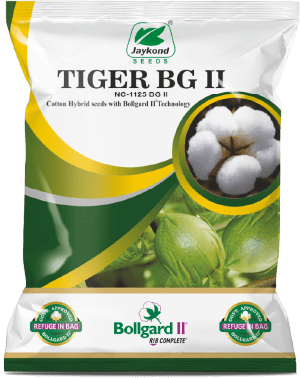 tiger-bollgard-bg-ii-hybrid-cotton-seeds-jaykond-bioseeds-pvt-ltd