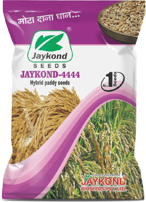 jaykond-4444-hybrid-paddy-seeds