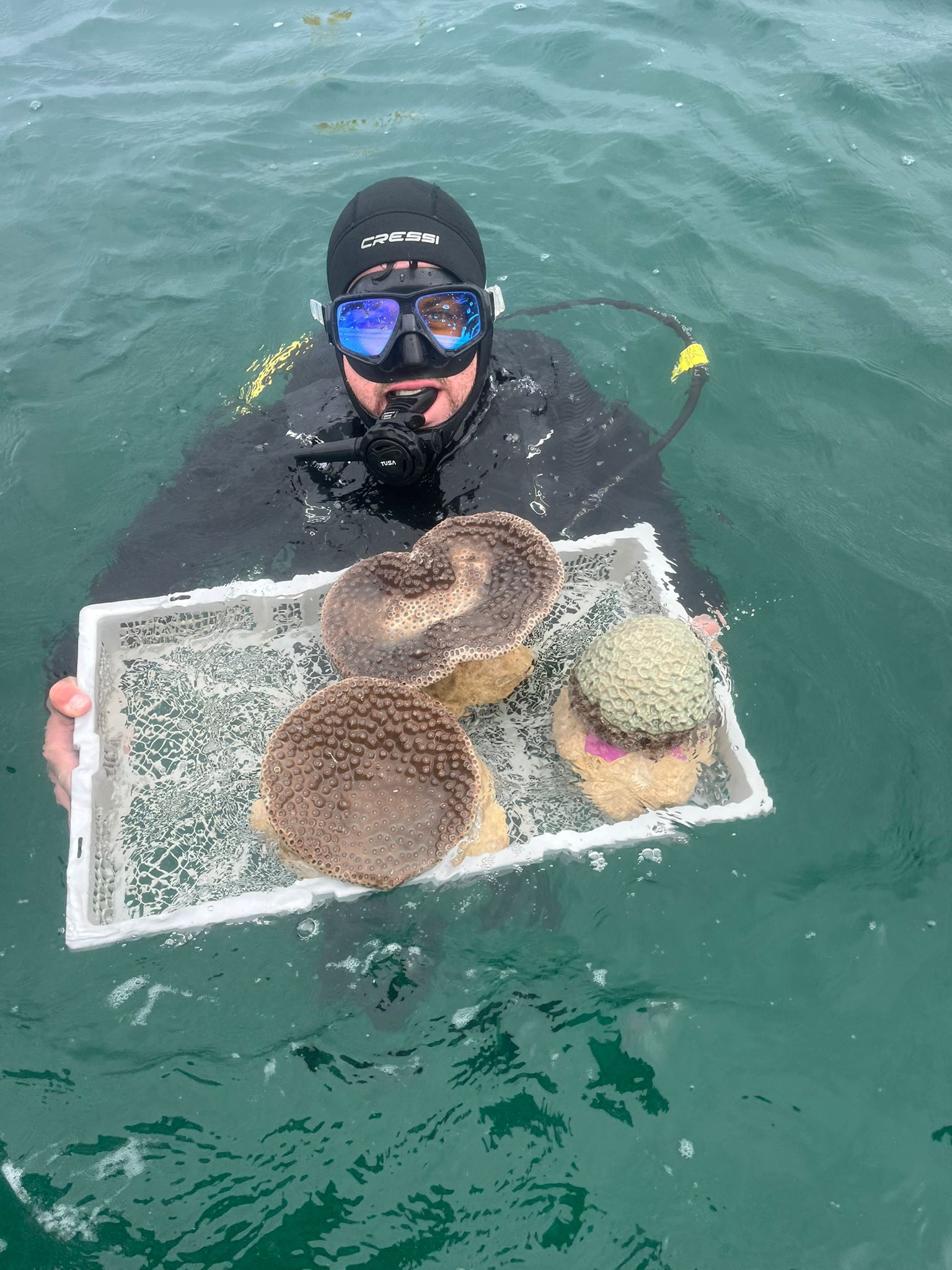 Cockburn Sound | Our Coral Restoration Farm