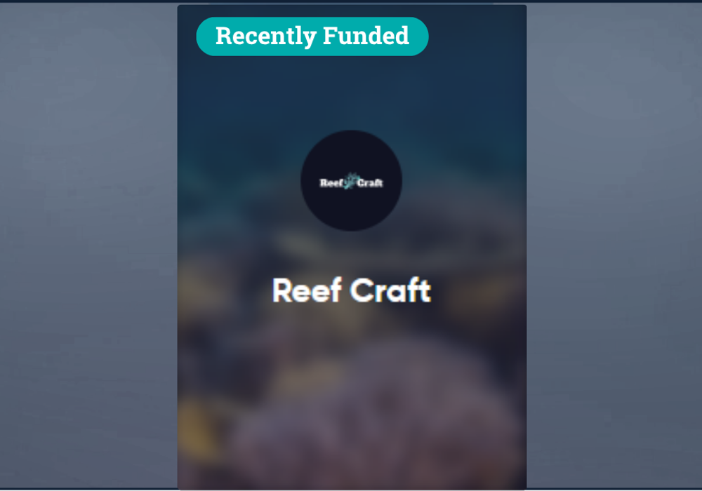 Birchal Crowdfund: Now Live!