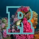 Avatar for Reef Craft