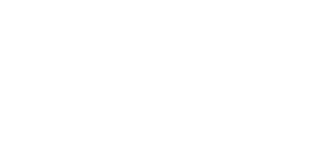 Vienna Acoustics