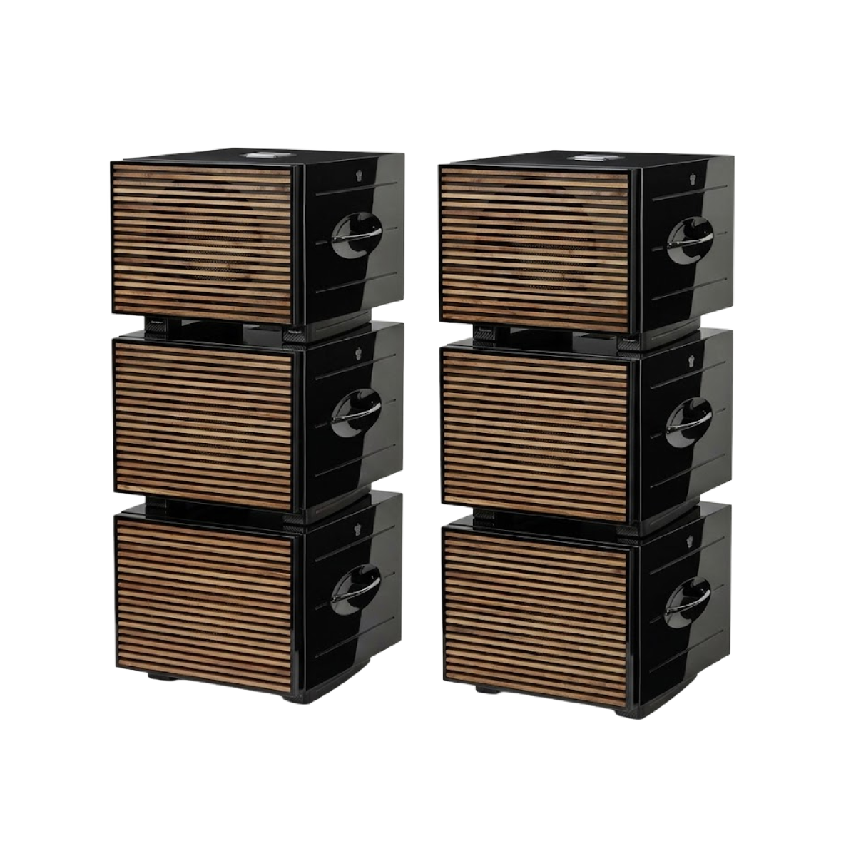 Carbon Special Black Label Line Array