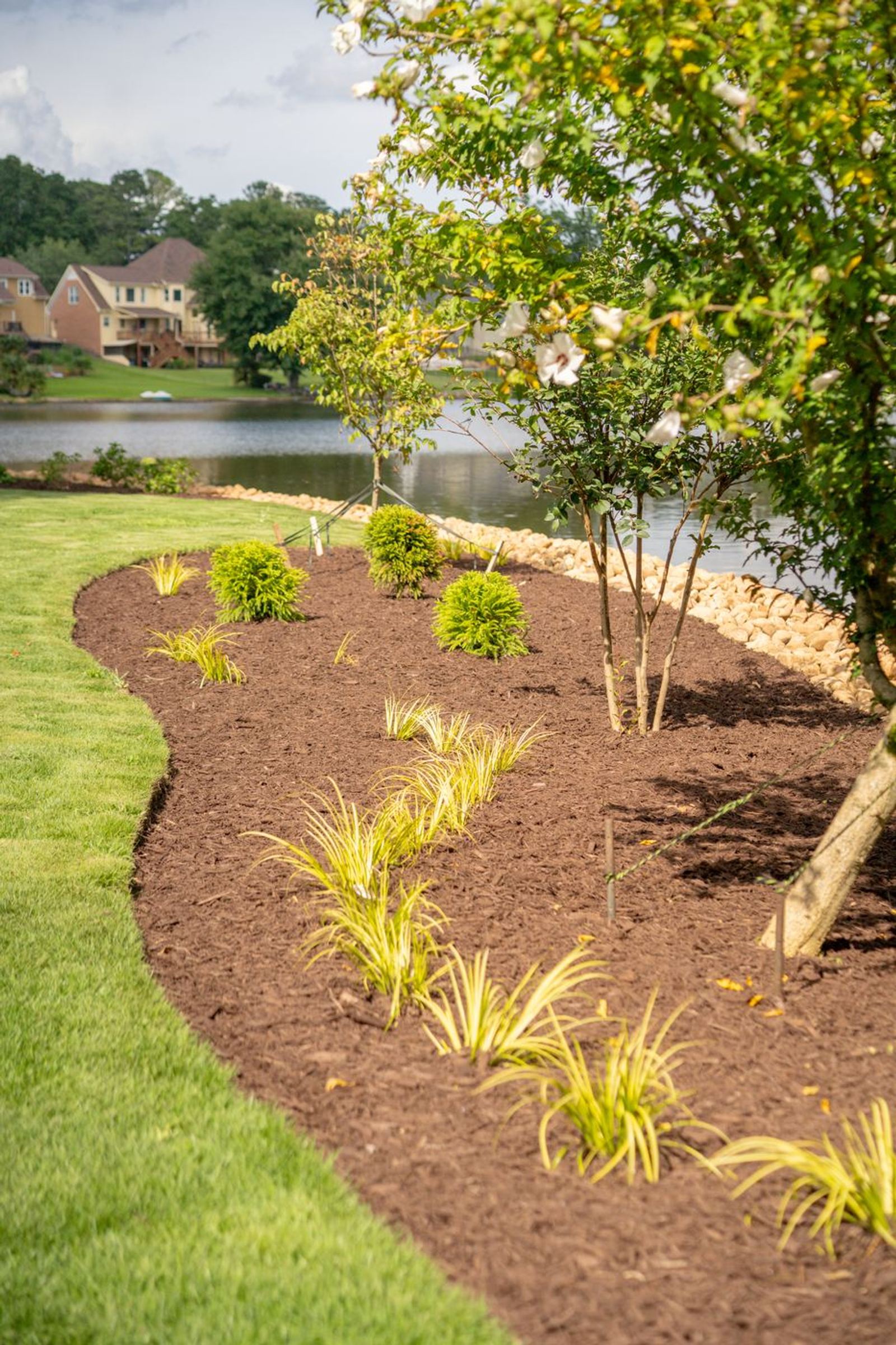 A curved landscape bed of fresh brown hardwood mulch with ornamental grasses and a clean turf edge beside the lake.