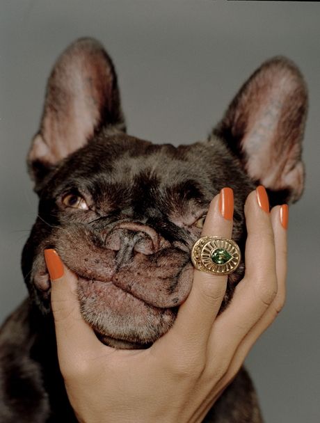 Gold-tone ring with a green centrepiece worn beside a French bulldog