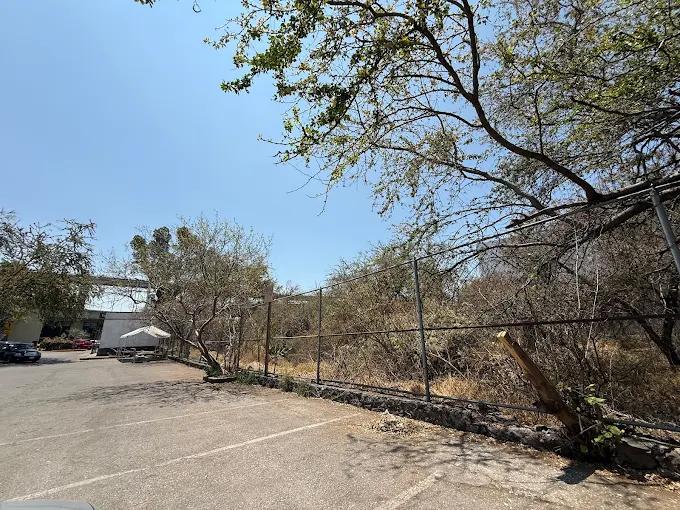 EL PROYECTO ALTOVERDE EN CUERNAVACA Y LA POLÉMICA DETRÁS DE SU IMPLEMENTACIÓN