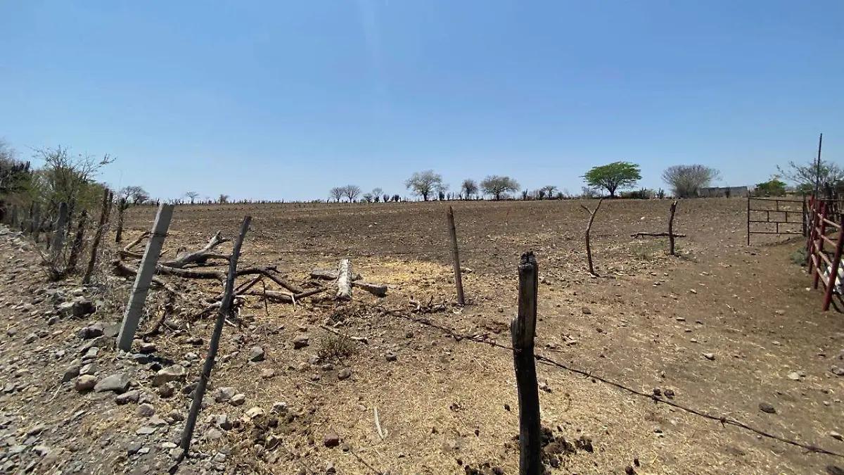  SEQUÍA EN CAMPO DE MORELOS SE ELEVA LA ALERTA POR INCENDIOS