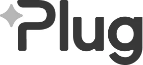 Plug